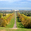 View album View album