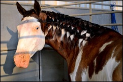 fancy braids