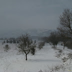 2012-02-06 (2).jpg