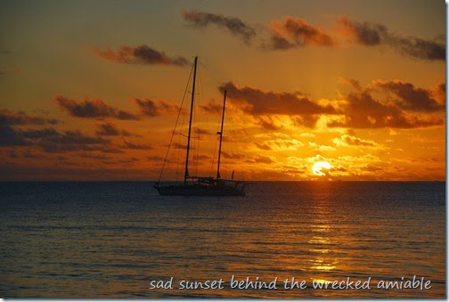 DSC_6730 DSC_6730