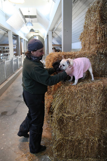 Thanks, Betsy, for being such an excellent stable manager.  You care for our friends, the barn animals so well and we really appreciate that!