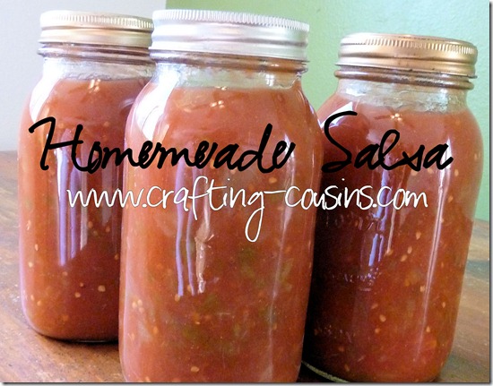 Crafty Cousins tips for canning homemade salsa