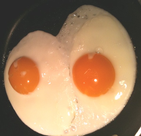 [maryfrancesfiveeggs12.jpg]