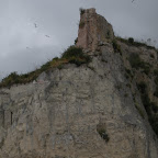 DSCN7326.JPG