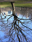 Central Park (22).JPG