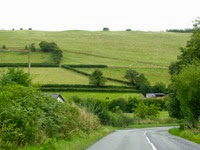 IMG_3109 IMG_3109