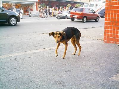 [Dilma%2520nas%2520ruas%2520depois%2520de%2520tudo...%255B2%255D.jpg]