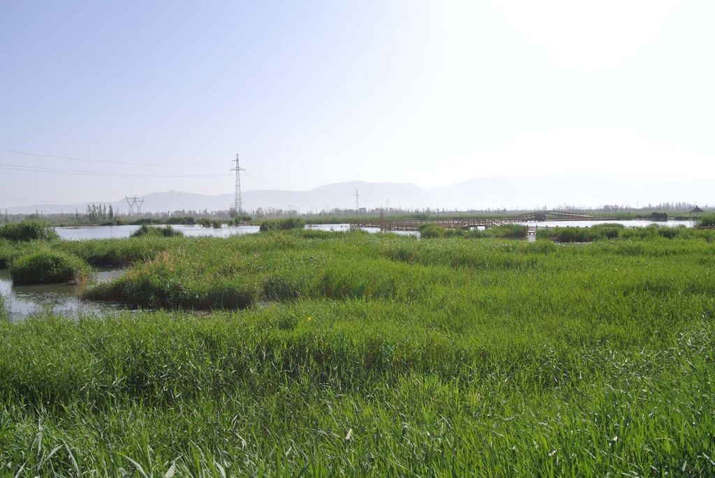 [DSC_3517%255B5%255D.jpg]