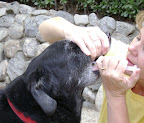 According one of Denise's students, the biggest benefit of taking a pet CPR class was that it gave her According one of Denise's students, the biggest benefit of taking a pet CPR class was that it gave her