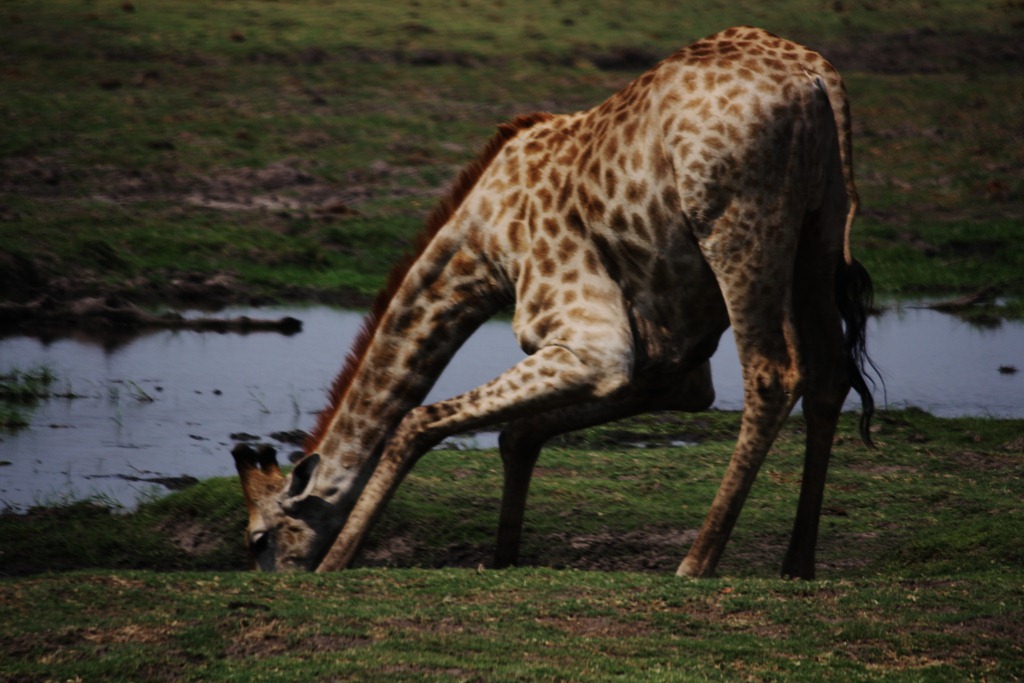 [IMG_4578%255B4%255D.jpg]