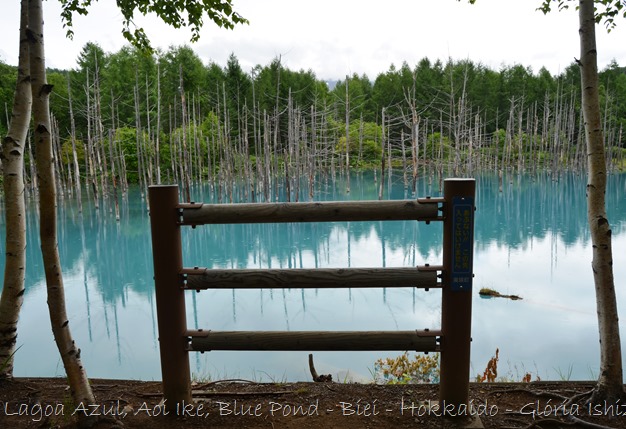 Lagoa Azul - Biei - Hokkaido - Glória Ishizaka - 5