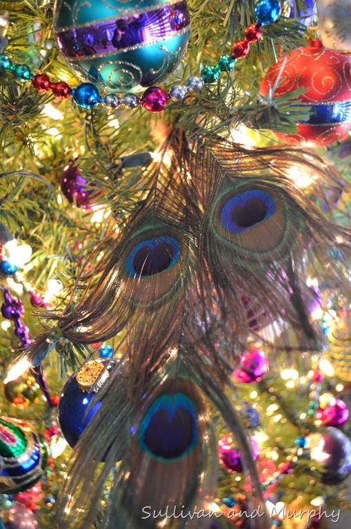 [feathers%255B5%255D.jpg]