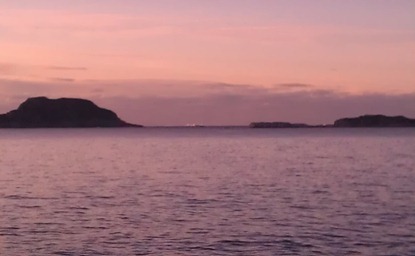 IMAG0211
