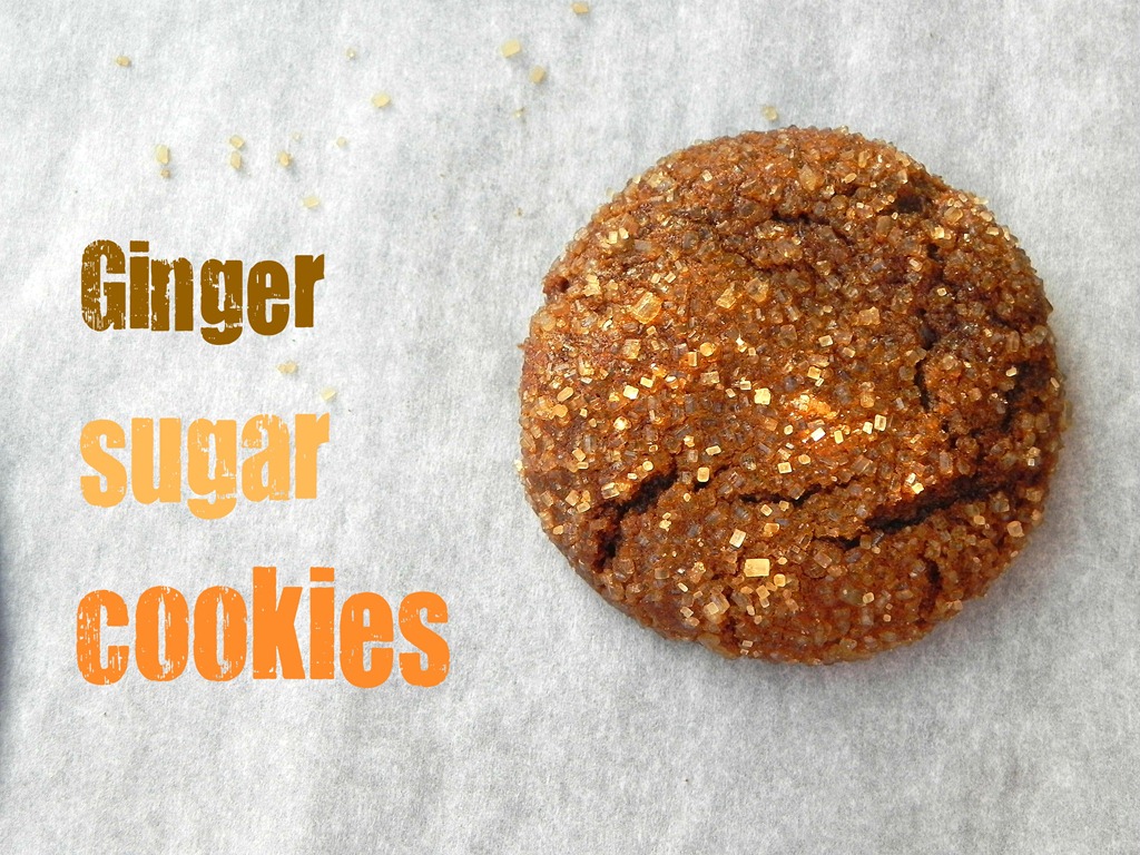 [ginger-sugar-cookies-14.jpg]