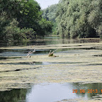 DSCN8354.JPG