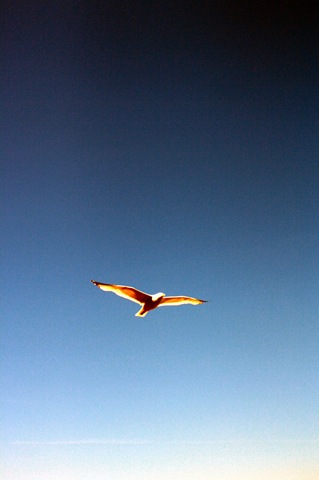 [IMG_8339%255B4%255D.jpg]