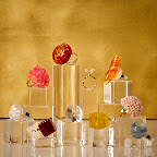The final ring selection: A mixture of Escriba candy rings and some of our own creations. The final ring selection: A mixture of Escriba candy rings and some of our own creations.