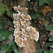 PA030001.JPG