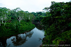 The Achuar meeting was held in Kuyuntsa on the Manchari River. The river was so low we had to hike there for several hours from the Huitoyaco.