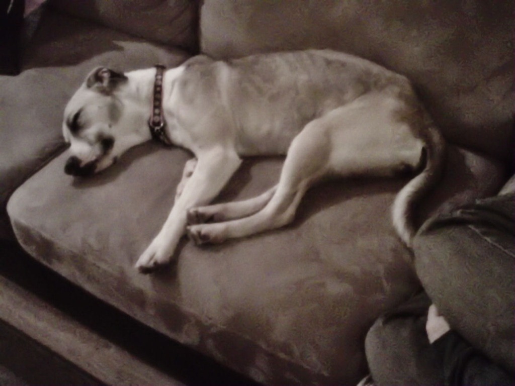 [skinny-lily-sleeping11.jpg]
