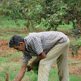 DSC03730.JPG