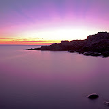 _MG_8960 copy.JPG