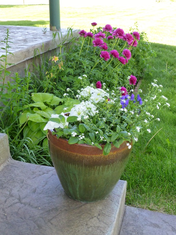 [flowers-0016.jpg]