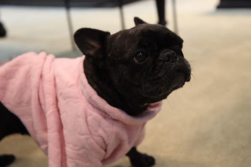 I'm nervous, Sharkey.  Do I look okay?  How are my wrinkles?