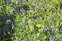 IMG_7942.JPG Photo