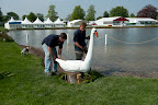 Positioning the swan on the lake ready for Grassroots day