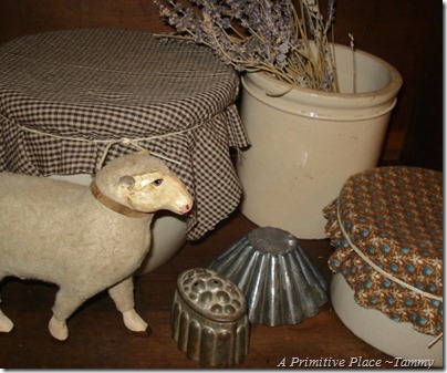 A Primitive Place ~Tammy