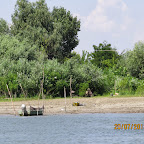 IMG_4292.JPG