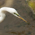 20130419-dsc_0065
