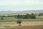 IMG_7456.JPG