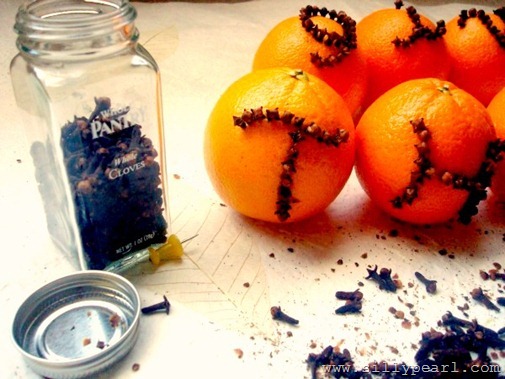 OrangeCloves5a