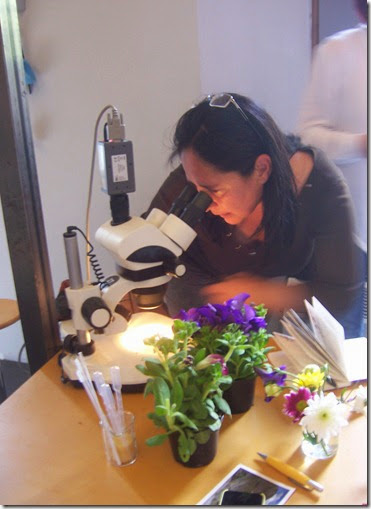 Osservazioni al microscopio Osservazioni al microscopio