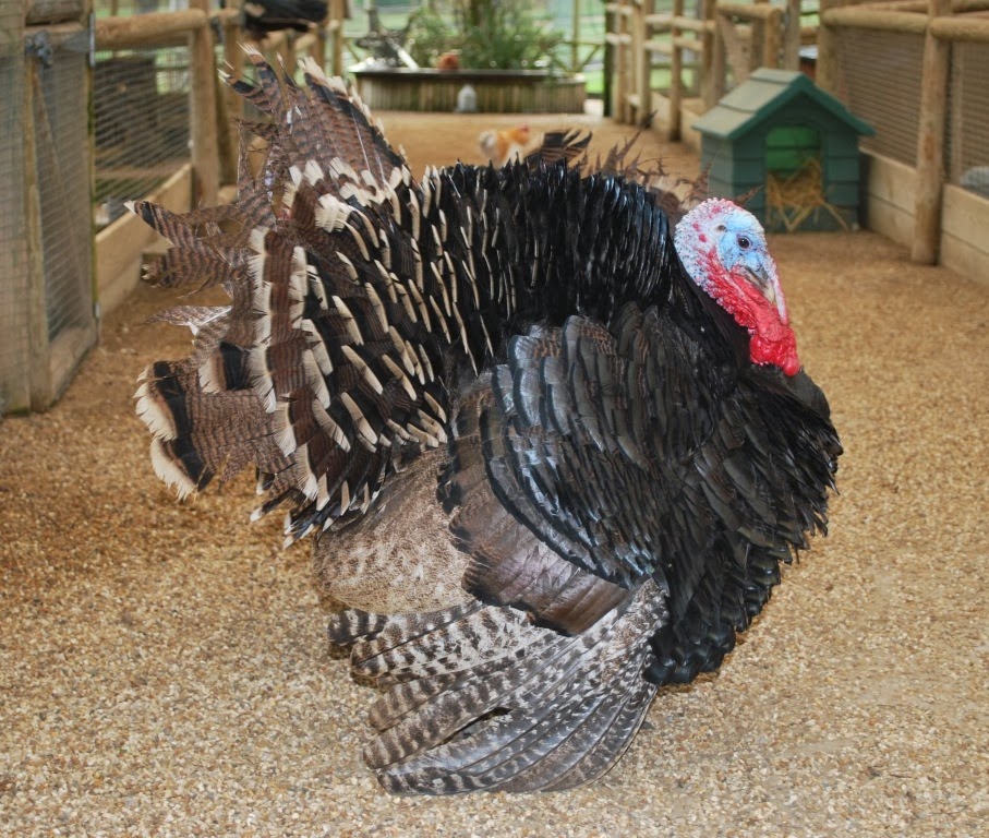 [DSC_0059%255B5%255D.jpg]