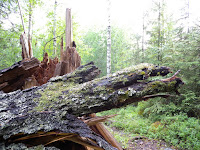 DSCN0390.JPG