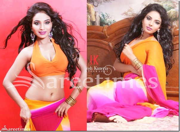 Shilpi_Shukla_Halter_Neck_Saree_Bloouse