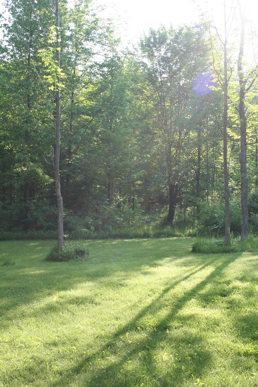 [IMG_2766%255B5%255D.jpg]
