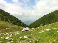 IMG_1326.JPG Photo