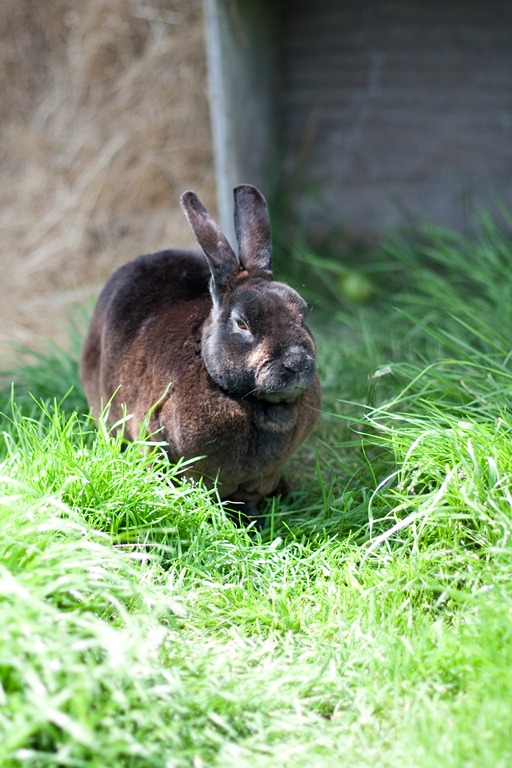 [20120728-IMG_75037.jpg]