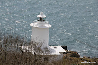 IMG_7968.JPG Photo