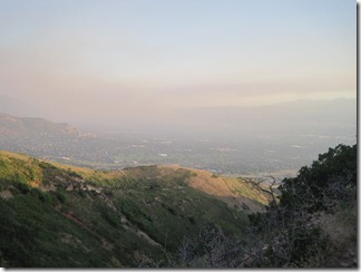 IMG_7920 IMG_7920