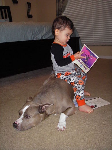 [dog5%255B5%255D.jpg]