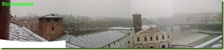 neve roma 2012 isola tiberina 2