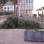 IMG_3376.JPG