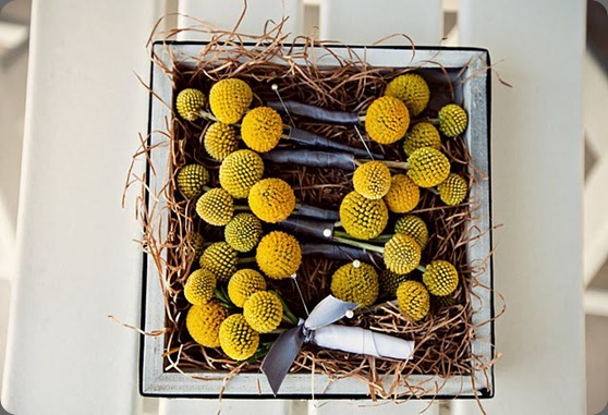 modern beach wedding yellow and grey billy ball boutonnieres heavenly blooms modern beach wedding yellow and grey billy ball boutonnieres heavenly blooms