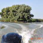 DSCN4611.JPG