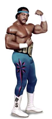[ronsimmons_1_full4.png]
